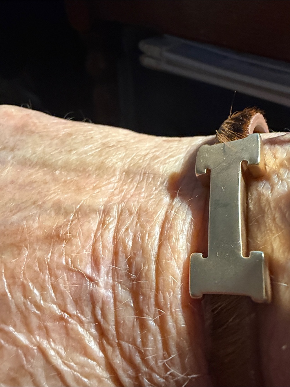 -Inspired Brown Leather Bracelet with Gold 'H' Accent